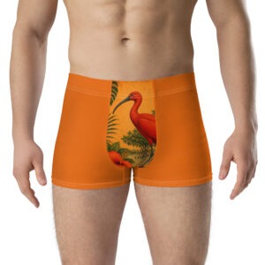 Boxer Briefs