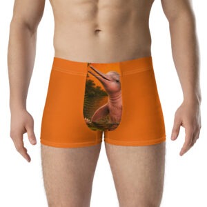 Boto Rosa Boxer Briefs